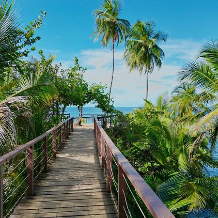 Oso Perezoso Pool Villa Puerto Viejo de Talamanca Buitenkant foto