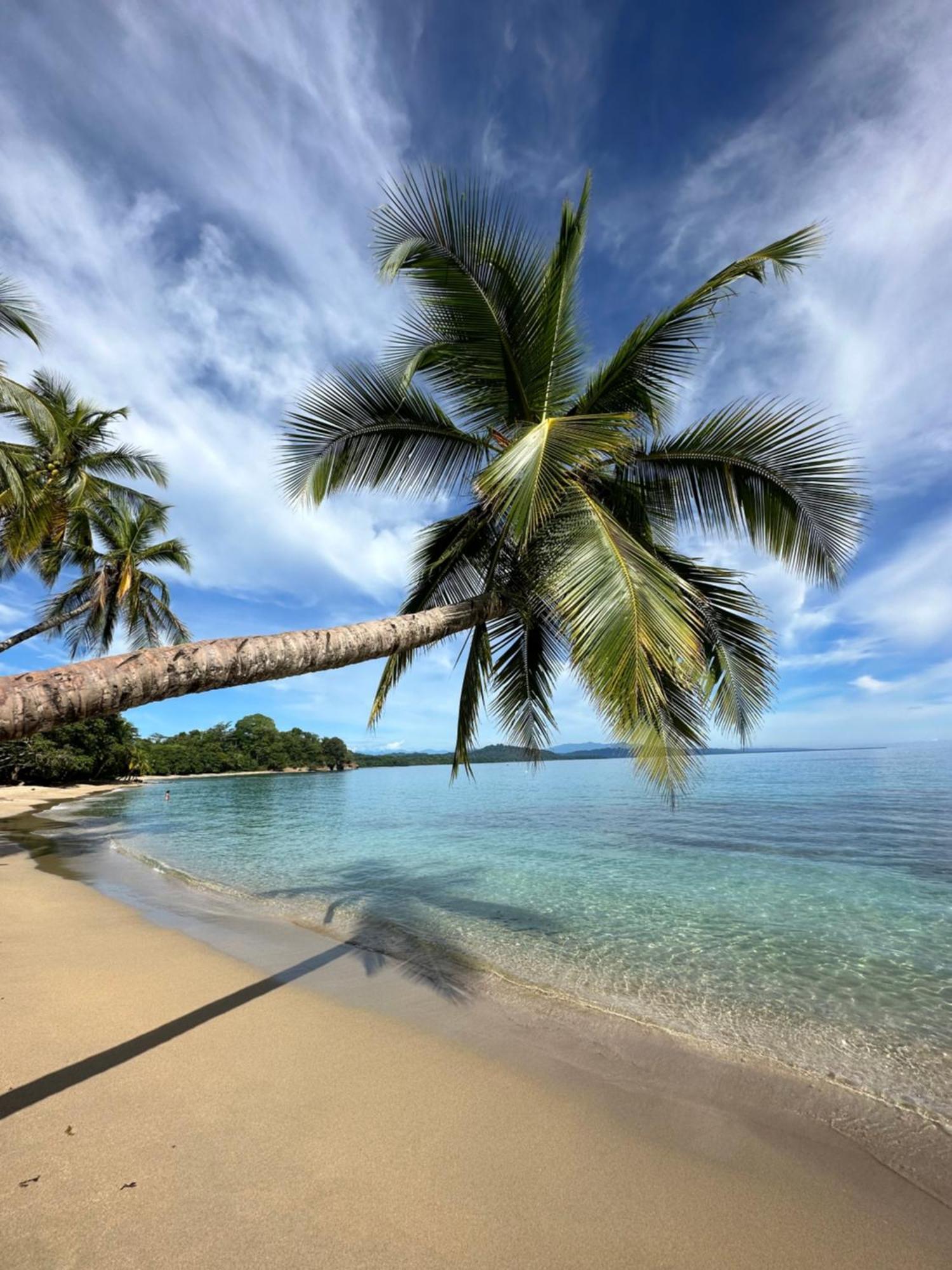 Oso Perezoso Pool Villa Puerto Viejo de Talamanca Buitenkant foto