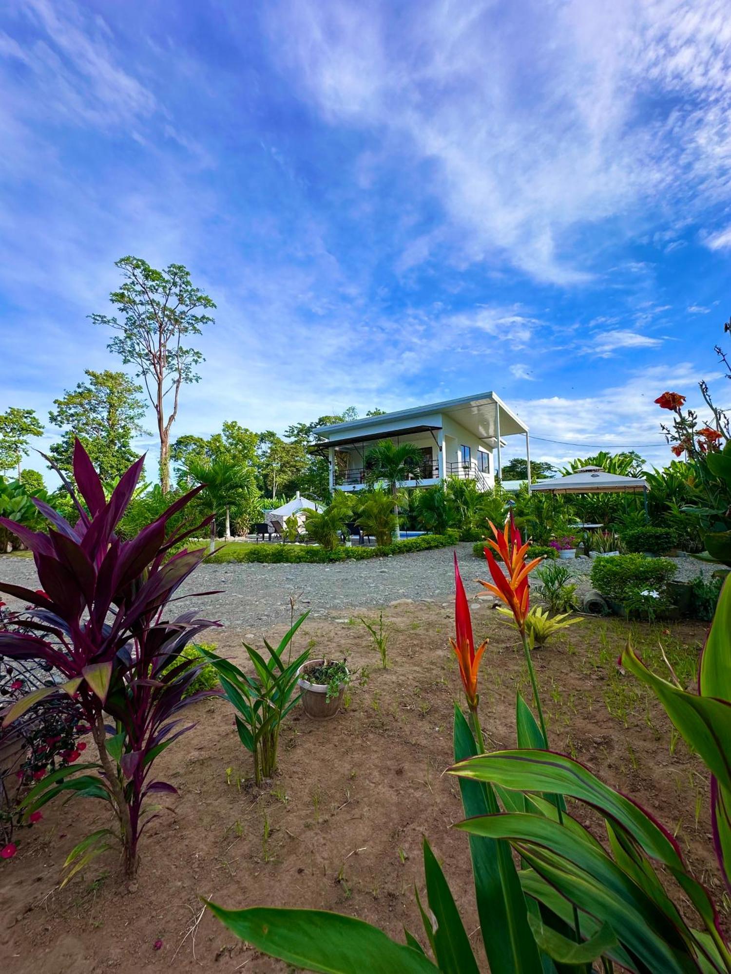Oso Perezoso Pool Villa Puerto Viejo de Talamanca Buitenkant foto