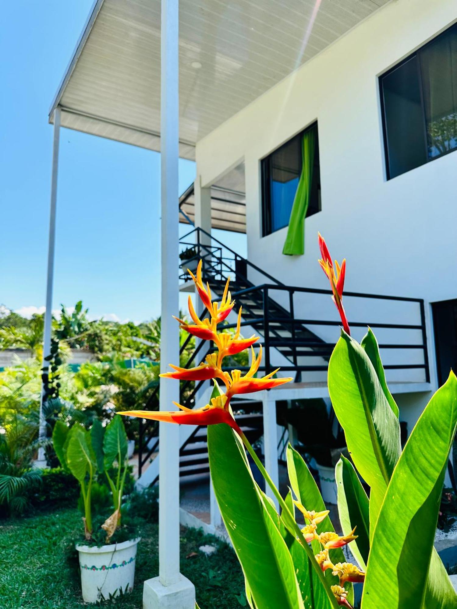 Oso Perezoso Pool Villa Puerto Viejo de Talamanca Buitenkant foto