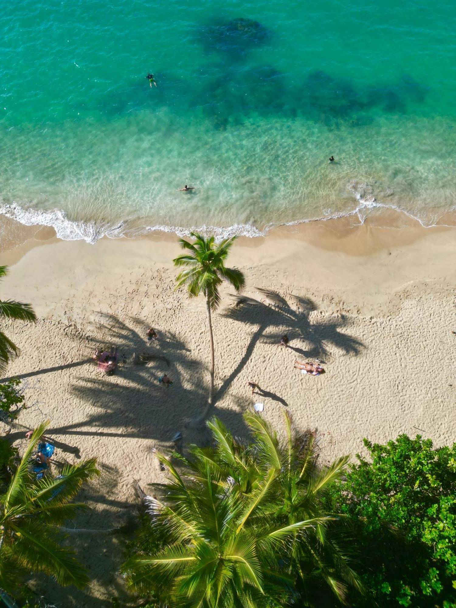 Oso Perezoso Pool Villa Puerto Viejo de Talamanca Buitenkant foto