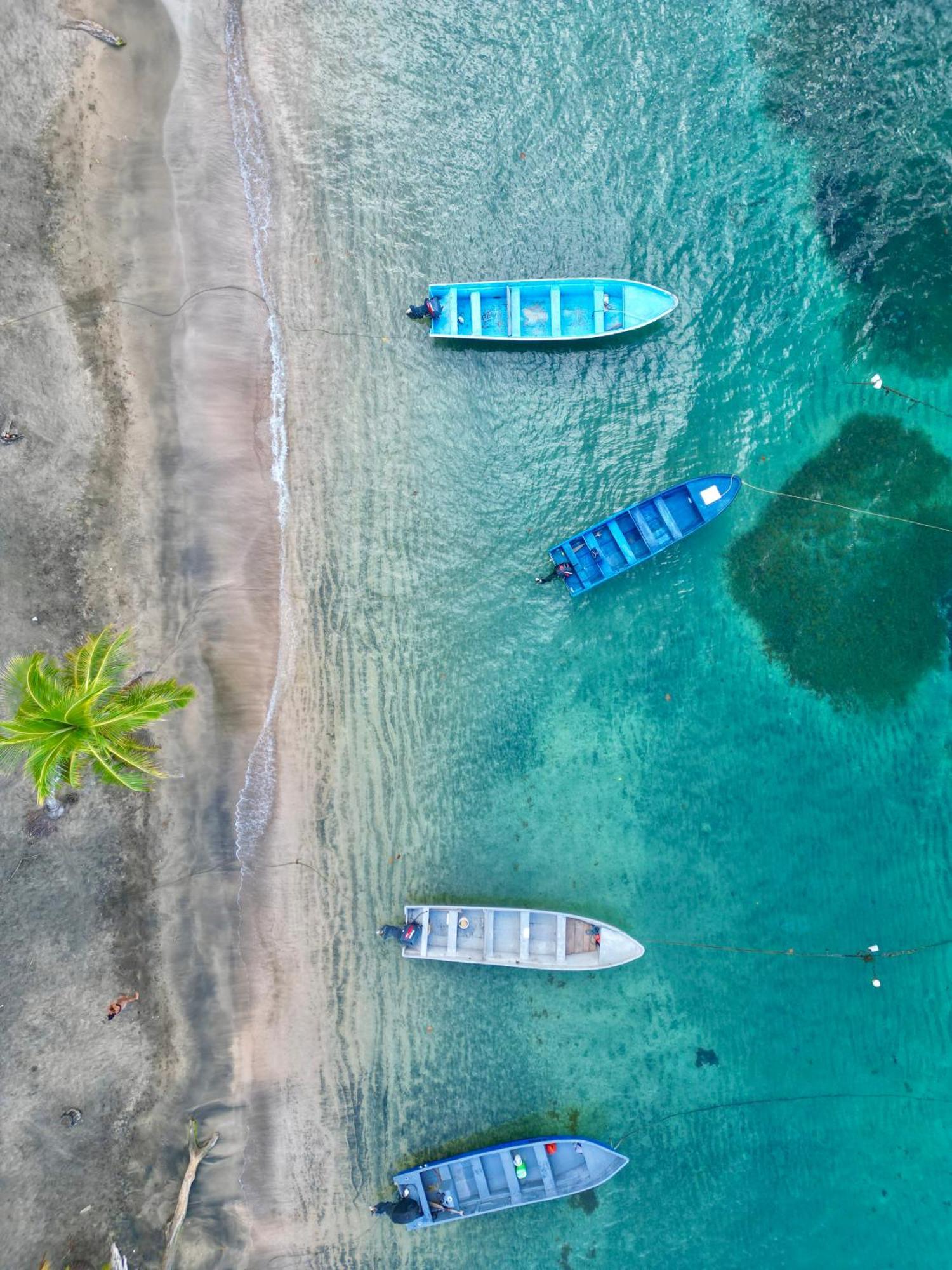 Oso Perezoso Pool Villa Puerto Viejo de Talamanca Buitenkant foto